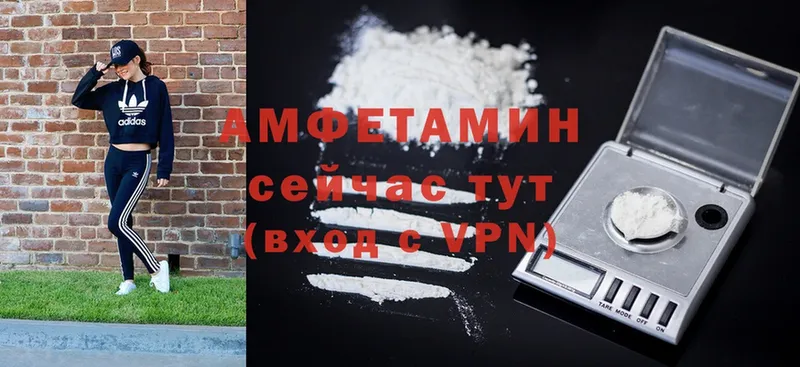 где купить   Благодарный  Amphetamine Розовый 